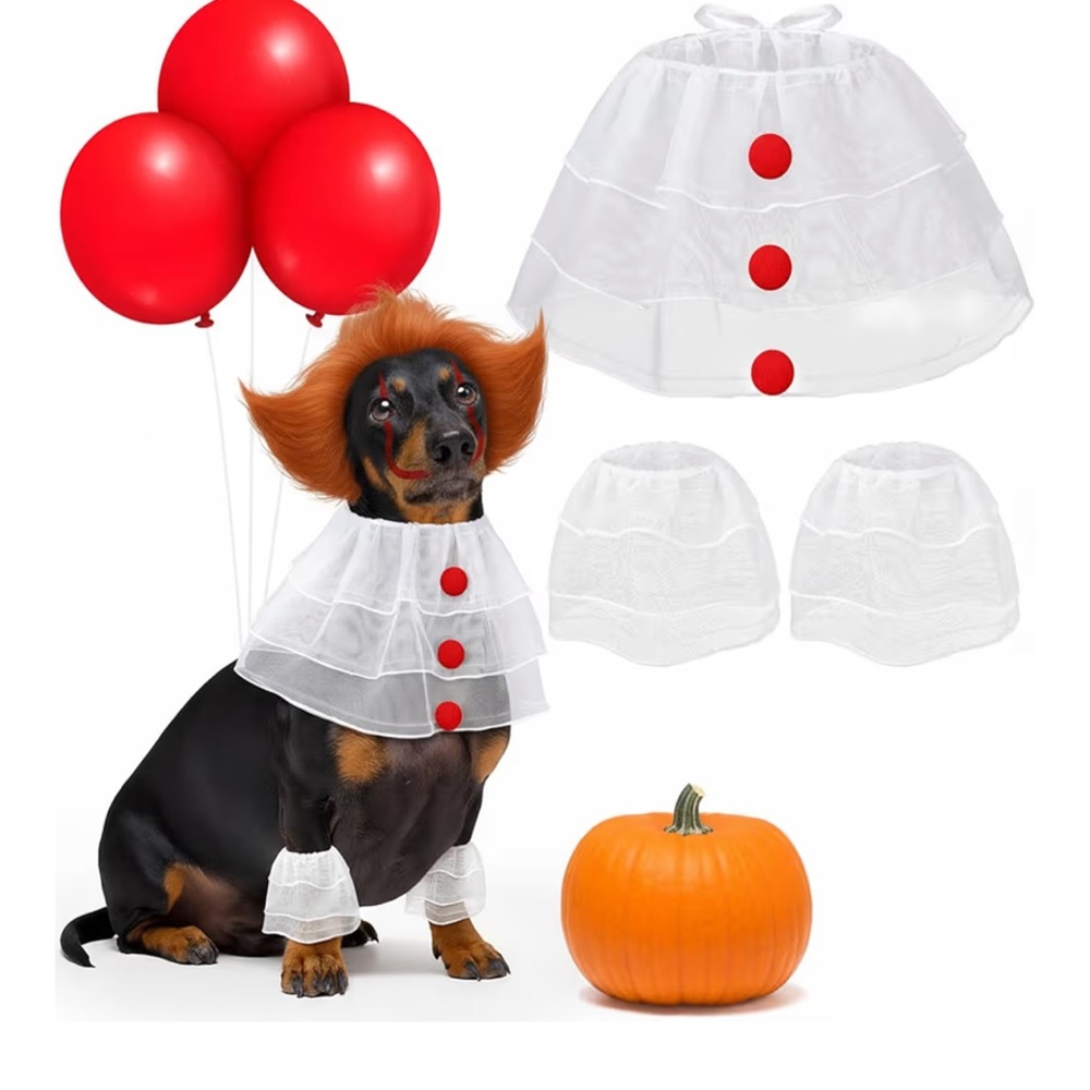Dog Clown Costume with Red Balloons